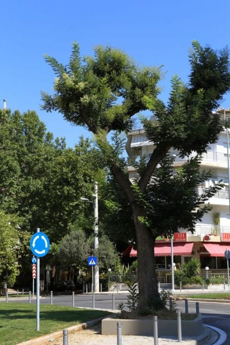 Κήπος Καλού, Δήμος Θεσσαλονίκης